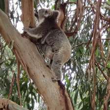 Hanson Bay Wildlife Sanctuary | S Coast Rd, Karatta SA 5223, Australia