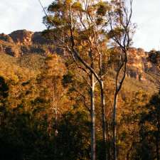 Blue Gum Forest | Shortridge Pass, Blue Mountains National Park NSW 2787, Australia