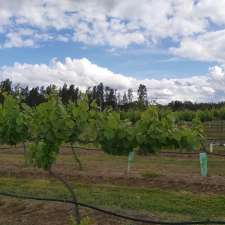 Hunter & Gatherer Wine Tours | 14 Catherine St, Cessnock NSW 2325, Australia