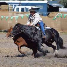 Stannum Australian Stock Horses | 682 Amosfield Rd, Liston NSW 2372, Australia