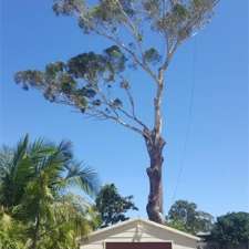 ARBOR CULTURE TREE SERVICES | 2793 Nelson Bay Rd, Salt Ash NSW 2318, Australia