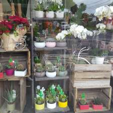 Highett Florist | 533 Highett Rd, Highett VIC 3190, Australia