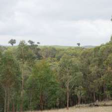 Warrandyte - Kinglake Nature Conservation Reserve - Meadow | Unnamed Road, Smiths Gully VIC 3760, Australia