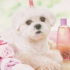Pooch Perfect Groomer | Sydney St, Bayview Heights QLD 4868, Australia