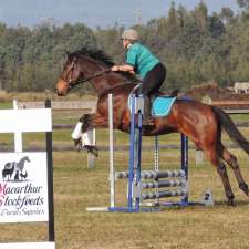 Endeavour Park Equestrian Centre | 1435 Barkers Lodge Rd, Oakdale NSW 2570, Australia