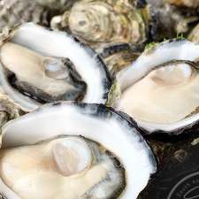 Smoky Bay Oysters | Point of interest | 9 Anchor Dr, Smoky Bay SA 5680, Australia