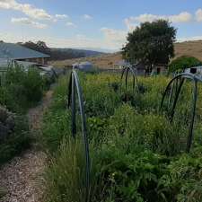 Tiger Hill Permaculture | Tiger Hill, 951 Sand River Rd, Buckland TAS 7190, Australia