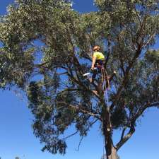 Mojo Tree Services PTY LTD | 34 Eliza Power Dr, Marulan NSW 2579, Australia