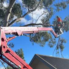 OtwayTrees | Establishment | 105 Woodrowvale Rd, Elliminyt VIC 3250, Australia