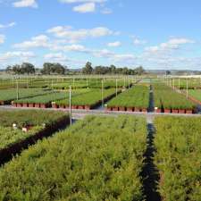 Plantrite Wholesale Native Nursery | 150 Bingham Rd, Bullsbrook WA 6084, Australia