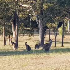 Kookaburras on Curra | Harvey Siding Rd, Curra QLD 4570, Australia