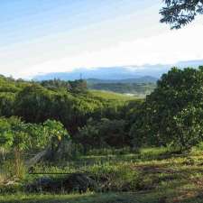 Mullumbimby Arttherapy | Robinsons Rd, Wilsons Creek NSW 2482, Australia