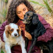 DSDT - DogSense Dog Training & Pet Services | Thornlands, Brisbane QLD 4164, Australia