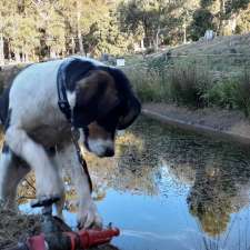 Railton Boarding Kennels & Cattery | 40 Native Rock Rd, Railton TAS 7305, Australia