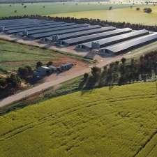 ProTen Farm 70 | 347H+3P, Rankins Springs NSW 2669, Australia