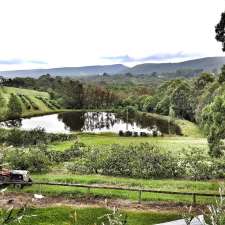 Enniskillen Orchard | 753 Grose Vale Rd, Grose Vale NSW 2753, Australia