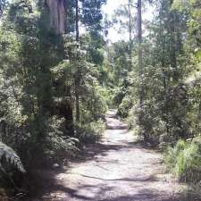 Morwell National Park | Kerry Rd, Jeeralang Junction VIC 3840, Australia