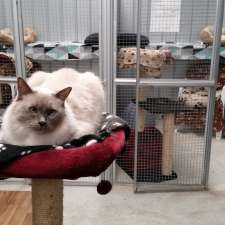 Karnup Boarding Cattery | 69 Fletcher Rd, Karnup WA 6176, Australia