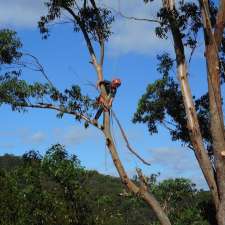 Diverse Tree Services | 27 Bunga St, Bermagui NSW 2546, Australia