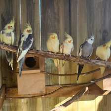 Stowport Parrots | 78 Maydena Rd, Stowport TAS 7321, Australia