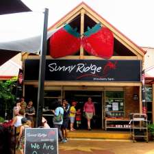 Sunny Ridge Strawberry Farm | 244 Shands Rd, Main Ridge VIC 3928, Australia