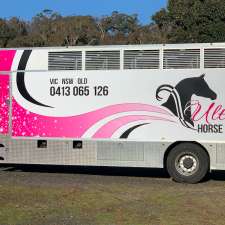 Ultimate Horse Transport | 1236 Tooma Rd, Burra NSW 2653, Australia