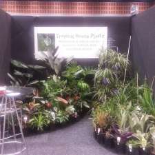 Tropical House Plants | 165 Doonan Bridge Rd, Verrierdale QLD 4562, Australia