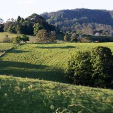 Amari Farms | 1242 Tuntable Creek Rd, Nimbin NSW 2480, Australia