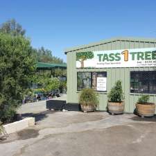 Tass 1 Trees | 166 Wilson Rd, Middle Swan WA 6056, Australia