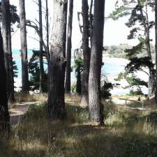 Shoreham Foreshore Campground | 57 Prout Webb Rd, Shoreham VIC 3916, Australia