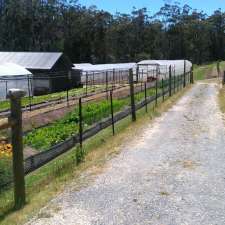 York Town Organics | 120 Bowens Rd, York Town TAS 7270, Australia