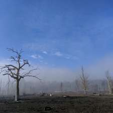 North Maintongoon Camp Ground | Delatite Plantation Rd, Lake Eildon VIC 3713, Australia