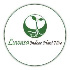 Luwasa Indoor Plant Hire | Unit 2 B/56 Sarton Rd, Clayton VIC 3168, Australia