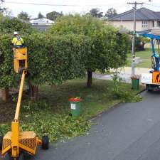 Geoff's Tree Service | Gibbs Rd, Nowergup WA 6032, Australia