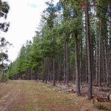 Mount Crawford Forest | 745 Warren Rd, Mount Crawford SA 5351, Australia