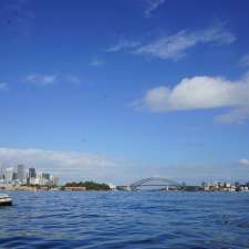 Sydney Harbour Safaris Boat Tours | 8 Lowing Cl, Forestville NSW 2087, Australia