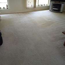 Treetops Carpet Cleaning | 270 Upper Landershute Rd, Palmwoods QLD 4555, Australia