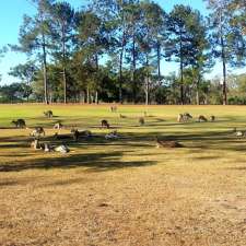 Mareeba Golf Club - 1 Hampe St, Mareeba QLD 4880, Australia