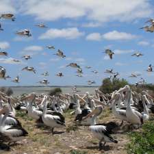Wildlife Welfare Organisation (SA) inc | Kessell Rd, Goolwa SA 5214, Australia