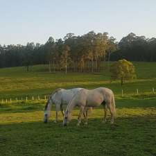 Manning Park Rest | 15510 Pacific Hwy, Rainbow Flat NSW 2430, Australia