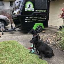 Gone To The Dogs - Mobile Dog Washing | Pitcairn Way, Pacific Pines QLD 4210, Australia