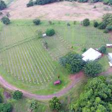 Passion Patch Bush camping | 1496 Bramston Beach Rd, Bramston Beach QLD 4871, Australia