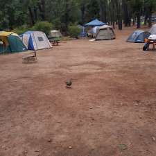 Nanga Bush Camp - Currawong Lodge | Nanga Brook WA 6215, Australia