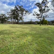 Bee Point Hill Farm | 160 Carrs Rd, Wilberforce NSW 2756, Australia