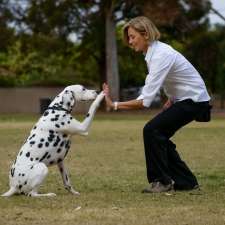 Positive Dog Training | Village Green, Unley SA 5061, Australia