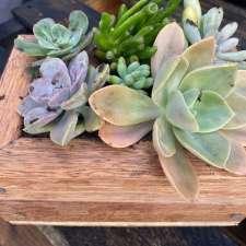 Anne's Green Thumb | 472 River Dr, Empire Vale NSW 2478, Australia