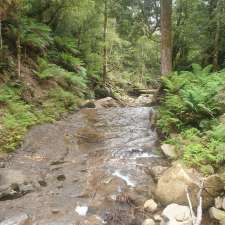 Westmorland Falls | Westmorland Falls Track, Caveside TAS 7304, Australia