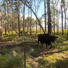 Babylon - Gardens, Lawns & Landscaping | Huntley Rd, Dapto NSW 2530, Australia