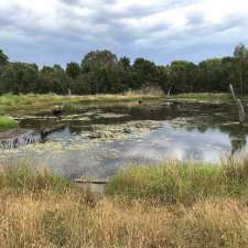 Yumarrala Wetlands | Somerville VIC 3912, Australia