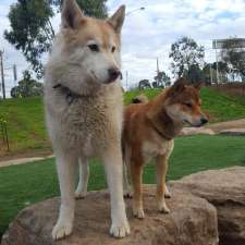 Dog Play Park | Knox Park, Ferntree Gully Rd, Knoxfield VIC 3180, Australia